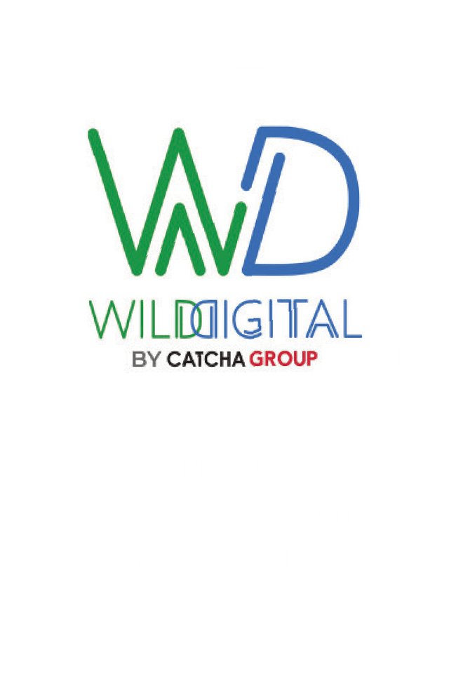 Award 4